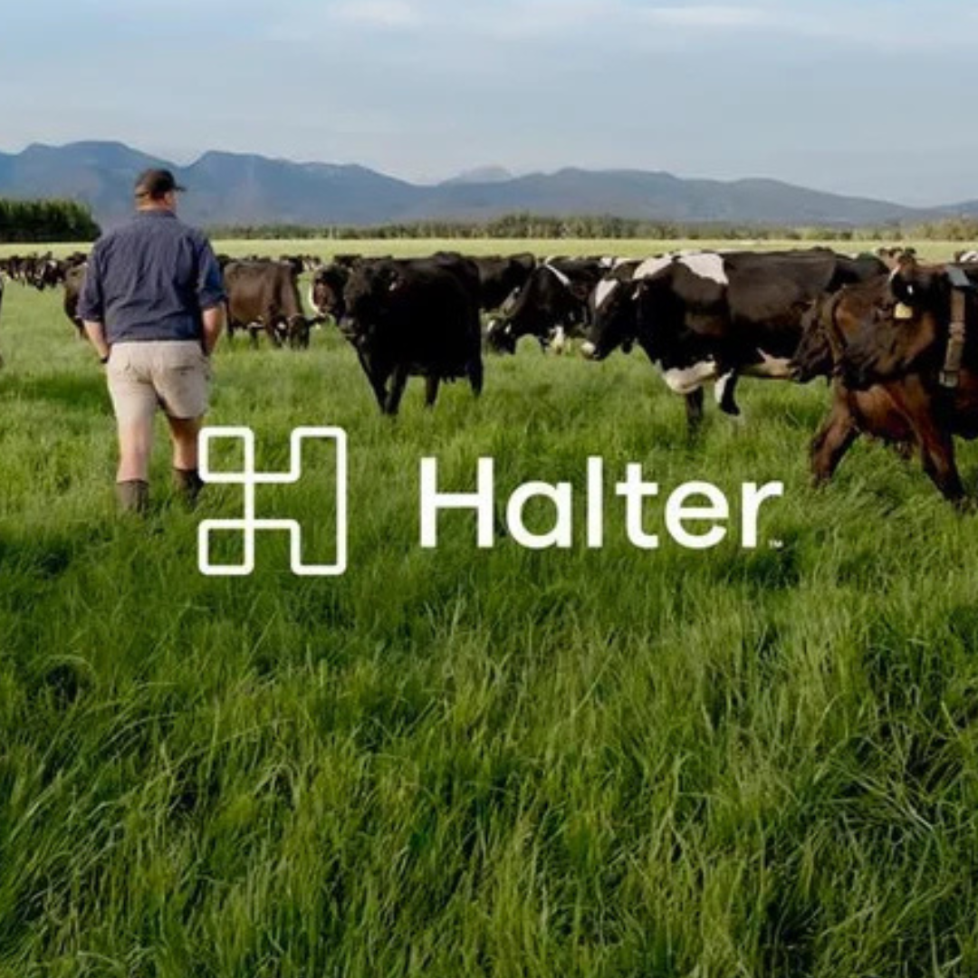 2-Mar-03-2026-10-22-30-8095-PM