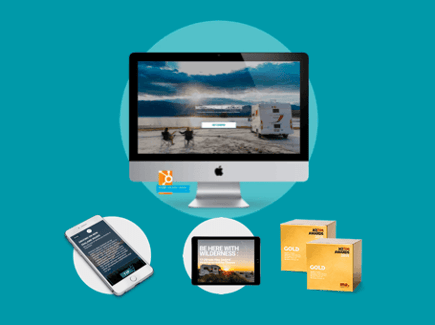 Wilderness - Digital Marketing Case Study