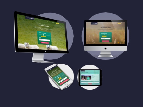 World Solar: Inbound Marketing & Website