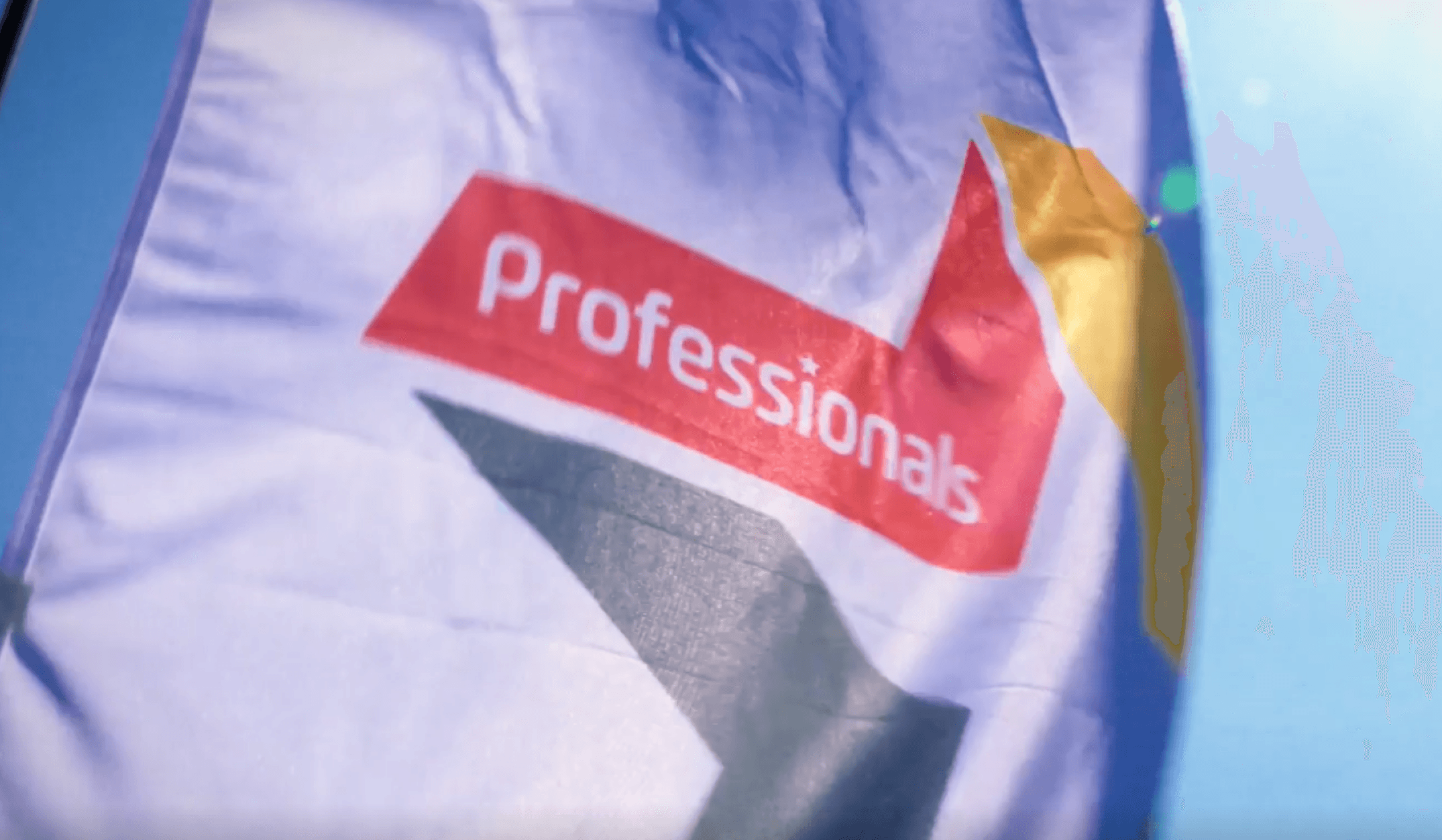 Professionals: Inbound, Website & Complex Integrations